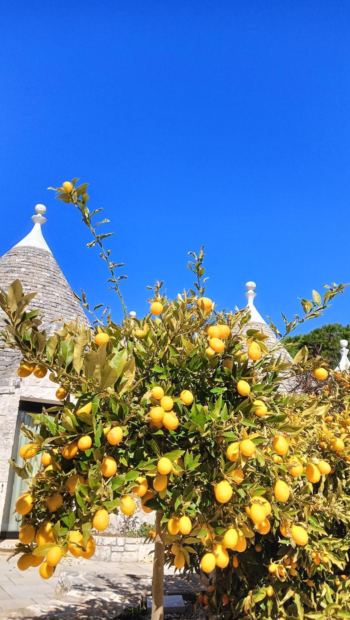 Вилла Trullo Bosco Libero Остуни Экстерьер фото